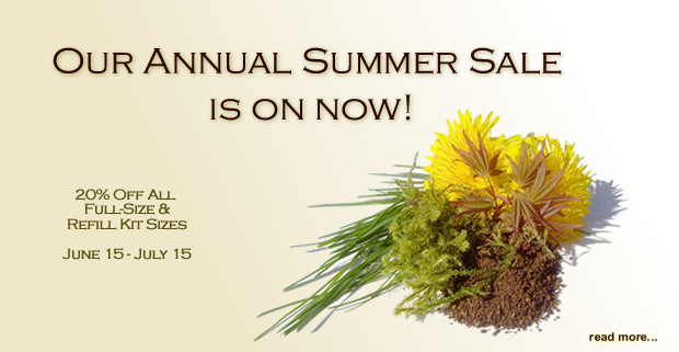 Annual Summer Sale