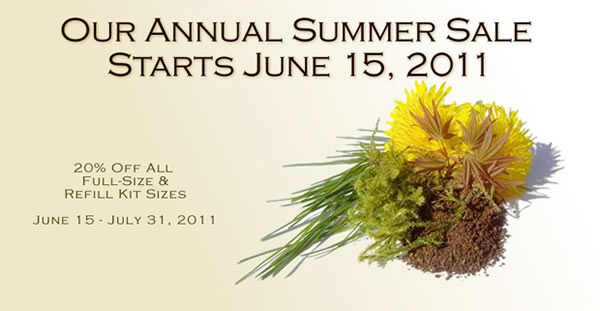 annual summer sale